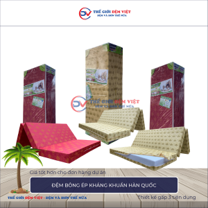 Đệm bông ép Hàn Quốc 1